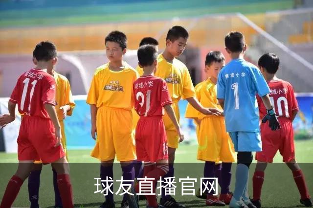 关于球友直播官网